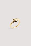 NA-KD Accessories Gullbelagt ring - Gold