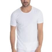 Calida Pure and Style T-shirt Hvit bomull XX-Large Herre
