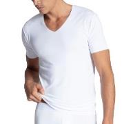 Calida Clean Line T-shirt Hvit micro modal Medium Herre