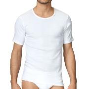 Calida Cotton 1 T-Shirt 14310 Hvit 001 bomull X-Large Herre