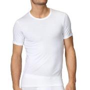 Calida Evolution T-Shirt 14661 Hvit 001 bomull Large Herre