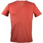 Frigo 4 T-Shirt V-neck Rød X-Large Herre