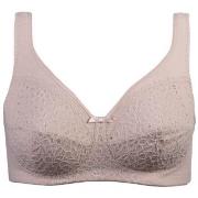 Damella BH Classic Soft Lace Bra Pudder A 80 Dame