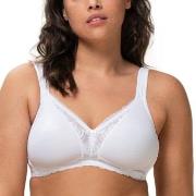 Triumph BH Modern Lace Cotton Soft Bra Hvit A 85 Dame
