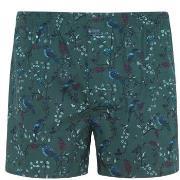 Jockey Woven Poplin Boxer Shorts Grønn bomull Small Herre