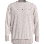 Tommy Hilfiger Icon Logo Relaxed Fit Sweatshirt Beige Small Herre