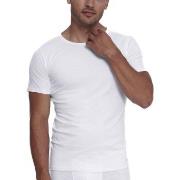 Sloggi 2P Men ABC O Neck T Shirt Hvit bomull XX-Large Herre