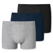 Schiesser 3P 95-5 Essential Shorts Mixed bomull X-Large Herre