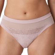 PrimaDonna Truser Sophora Rio Brief Lysrosa 38 Dame