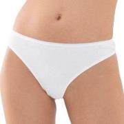 Mey Truser Organic Cotton Mini Briefs Hvit bomull Medium Dame