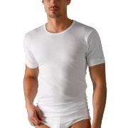 Mey Noblesse Men T-Shirt Hvit bomull XX-Large Herre