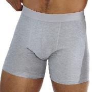 Bread and Boxers Brief Boxer Long Leg 3P Grå økologisk bomull Large He...