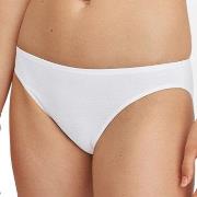 Calida Truser Essential Cotton Low Cut Brief Hvit bomull Small Dame