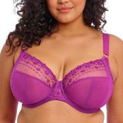 Elomi BH Matilda Underwired Plunge Bra Fuchsia/Lilla J 95 Dame
