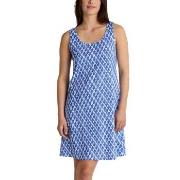 Calida Shell Nights Nightdress Blå/Hvit bomull X-Small Dame