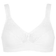 Damella BH Felice Soft Bra Hvit bomull B 95 Dame
