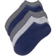 Pierre Robert Strømper 5P Low Cut Socks For Kids Blå/Grå Str 29/32 Bar...