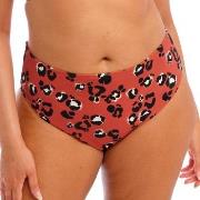 Elomi Kotiya Mid Rise Bikini Brief Oransje/Svart 42 Dame