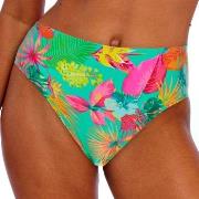 Freya Isla Margarita High Waist Brief Jade/Grønn Medium Dame