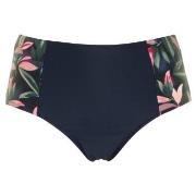 Missya Milano Bikini Maxi Brief Blå/Rosa 46 Dame