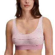 Calida BH Elastic Top Rosa stripet bomull X-Small Dame