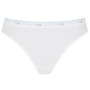 Sloggi Truser 3P 24 7 100 Tai Briefs Hvit bomull 40 Dame