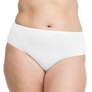 Swegmark Truser Essence Midi Briefs Modal Hvit modal X-Large Dame