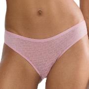 Triumph Truser Signature Sheer Tai Brief Gammelrosa 46 Dame
