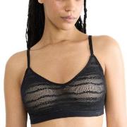 Sloggi BH FREE Evolve Lace Push-Up Bra Svart Sloggi 02 Dame