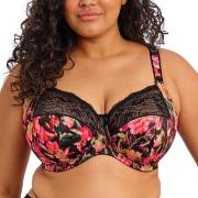 Elomi BH Morgan Banded Bra Blomstret H 85 Dame