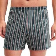 Calida Prints Cotton Boxer Shorts Lyslilla bomull X-Large Herre