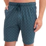 Calida Pyjama Short Petrol bomull Medium Herre