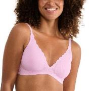 Sloggi BH ZERO Feel Bliss Push-Up Bra Rosa M+ Dame