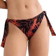 Triumph Summer Palm Tai Bikini Bottom Mixed 42 Dame