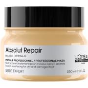 L'Oréal Professionnel Absolut Repair Masque Thick Hair 250 ml