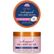 Whipped Body Butter Moroccan Rose, 240 g Tree Hut Body Lotion