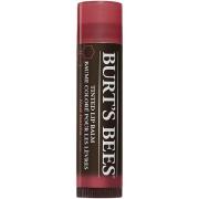 Burt's Bees Tinted Lip Balm Red Dahlia - 4,2 g