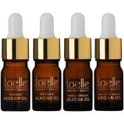 Loelle Oil Family 4 x 5 ml - 5 ml