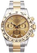 Rolex Cosmograph Daytona Herreklokke 116503-0003 Gulltonet/18 karat