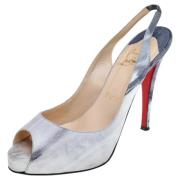 Pre-owned Gra skinn Christian Louboutin haeler