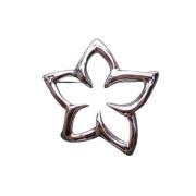 Pre-owned Silver brooches