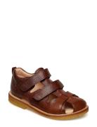 Sandals - Flat - Closed Toe Brown ANGULUS