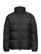 Waldenburg Jacket Black Dickies