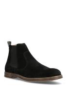 Risty Suede Shoe Black Sneaky Steve