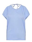 Cotton Jersey Blue Stella Nova