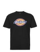 Icon Logo Tee Black Dickies