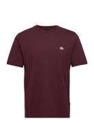 Ss Mapleton Tee Burgundy Dickies