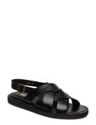 Sandals - Flat - Open Toe - Op Black ANGULUS