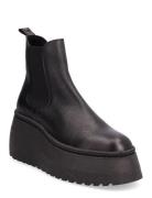 Pegasus Bootie Black Steve Madden