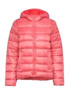 Hooded Polyfilled Jacket Pink Champion